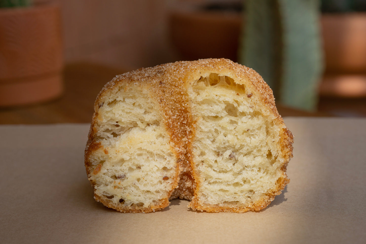 Cinnamon Sugar Doughnut (v)