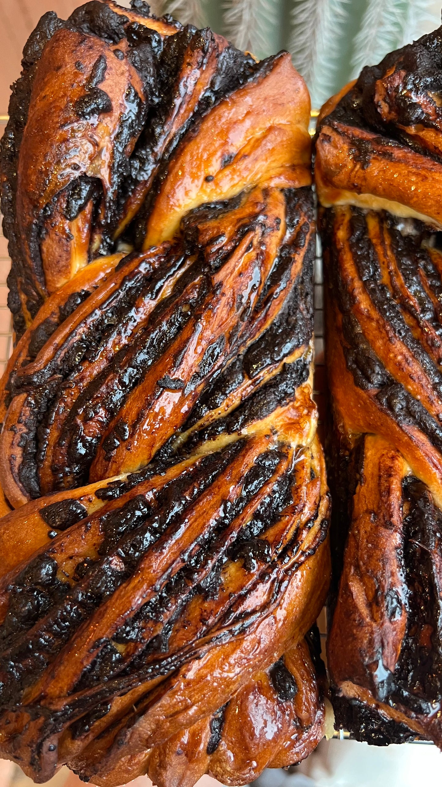 Chocolate Bread (Babka)